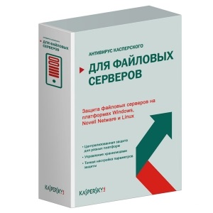 Kaspersky Security for File Server Russian Edition. 20-24 User 1 year Base License